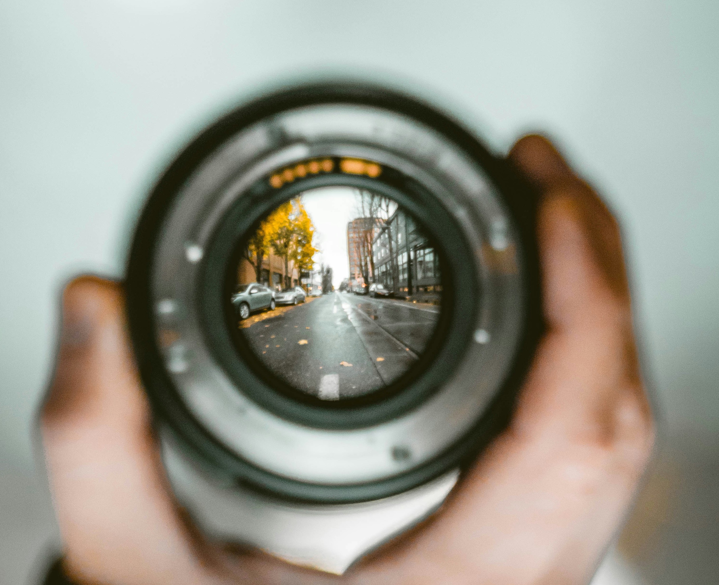 InFocus Newsletter Header